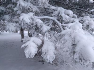 Прикрепленное изображение: IMG_20210219_073557.jpg